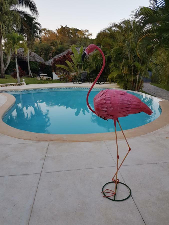 Casa Flamingo Las Terrenas Exterior foto