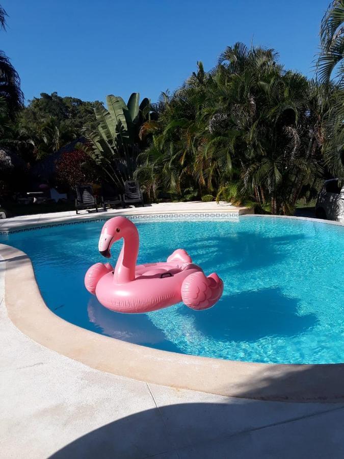Casa Flamingo Las Terrenas Exterior foto